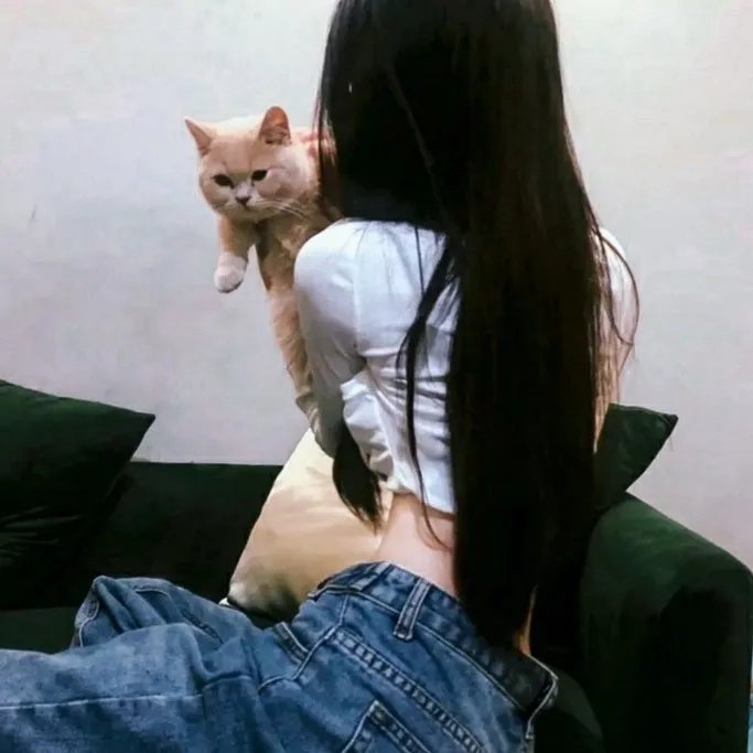 美好的一年